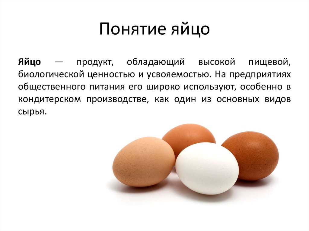 Презентация яйца и яйцепродукты