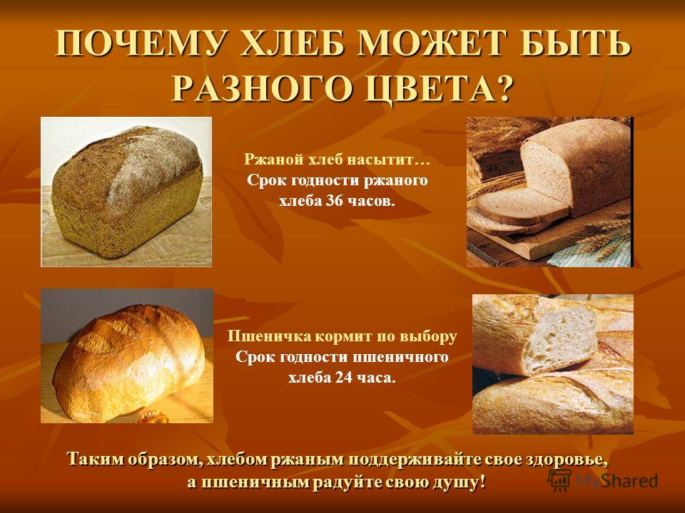 Хлеб для собаки читать краткое содержание. Хлеб для презентации. Разные виды хлеба. Виды хлеба бывают. Презентация про хлеб для дошкольников.