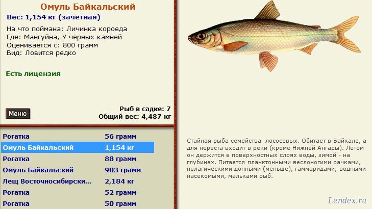 Омуль рыба рецепты
